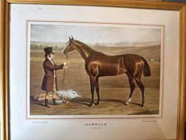 Gravure intitulée « MAMELUK »